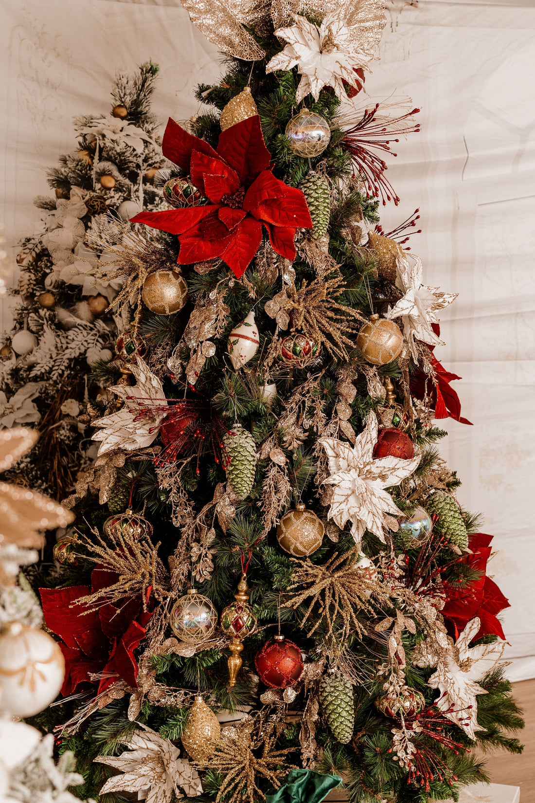 Why We’re Proud to Support Two Turtle Doves Australia